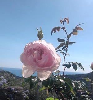 Celle Ligure Apartamento | TraMonti e Mare, vista mare giardino, la casa che in ogni stagione si trasforma!, ideale famiglie con bambini