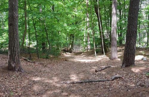 Jegum Casa | Tranquil Retreat with Spa - By Traum