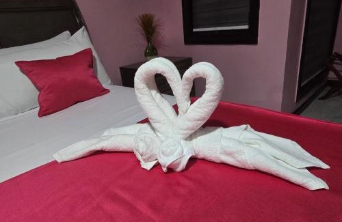 New Kingston Apartamento | Tranquil Vibes Villa-Near AC Hotel