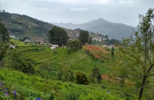 Kodaikanal Hotel | Tree Elanza