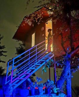 Shimla Chalet De Esquí | TREE HOUSE BY THE CITY ESCAPE