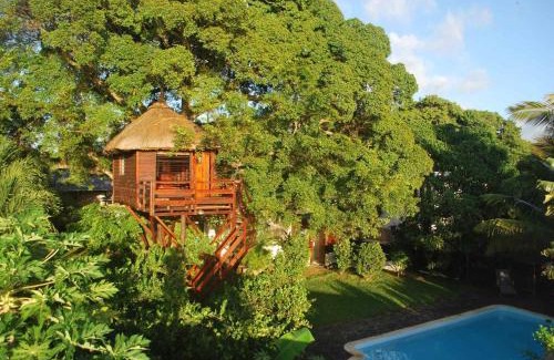 Centre de Flacq Cabina | Tree Lodge Mauritius