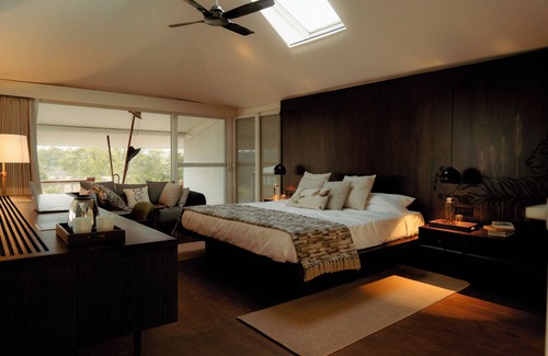 Damoy Complejo | Tree of Life Ramvilas Bandhavgarh