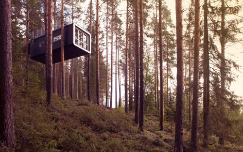 Harads Cabina | Treehotel