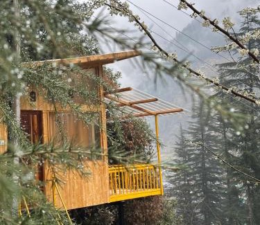 Banjar Chalet De Esquí | TreeHouse by The Woodpecker Inn Jibhi