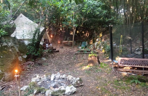 La Iglesia Cabina | Casa arbol en zona rural bosque , encantadora tienda Tipi Glamping en centro