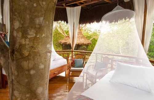 Saquena Cabina | Treehouse Lodge