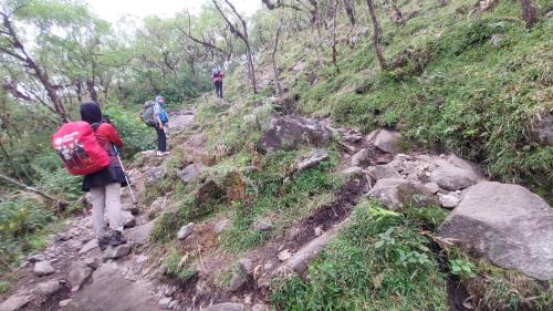 Gowa Otro | Trekking and Camp Lembah Lohe 2D1N
