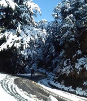 Suni Hotel | Trimurti Pine Valley Resort