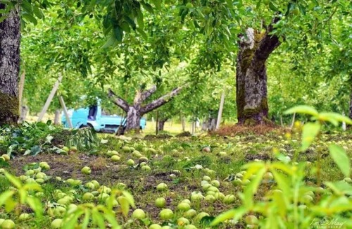 Asahi-machi Casa | Triple room with futon shared bathroom room witho / Nishimurayama-gun Yamagata
