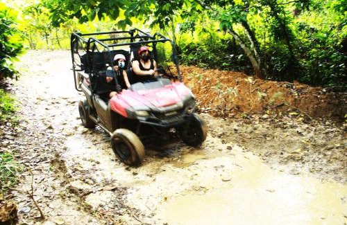 El Cortecito Apartamento | Tropical Deluxe 2 Bedroom Unit with Picuzzi