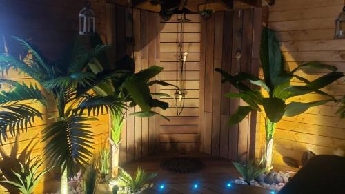 Provin Casa | Tropical Spa