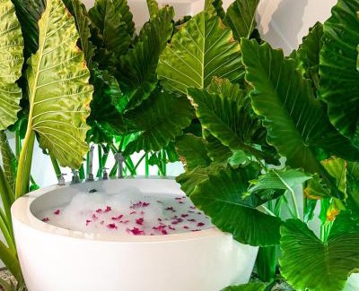 Thoddoo Casa | Tropicana Villas Maldives