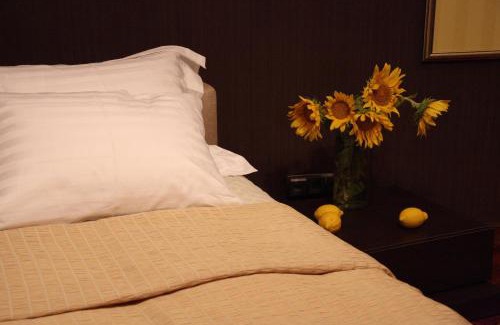 Dnipro Hotel | Tsunami Spa Hotel