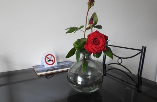 Hawera Hotel | Tudor Lodge Motel