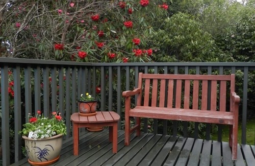 Lake Tarawera Casa | Tui Glen - bach frente al lago con impresionantes vistas