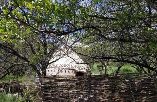 Issyk-Kul Region Cama Y Desayuno | Turan Handmade Yurt with Heated Floors