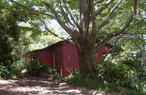 Mount Glorious Cabaña | Nido de Turquía - White Gum Cottage