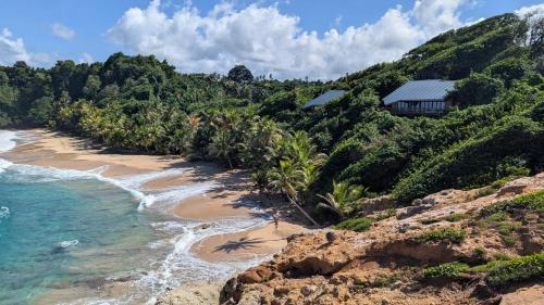 Calibishie Villa | Turtle Beach villa, Private beach