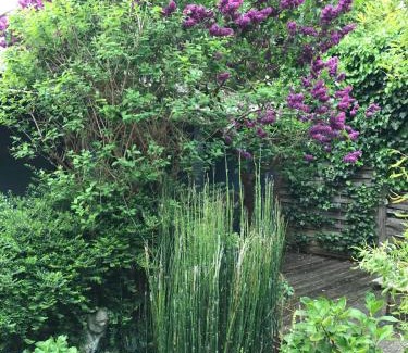 's-Gravenzande Apartamento | Tuynhuys