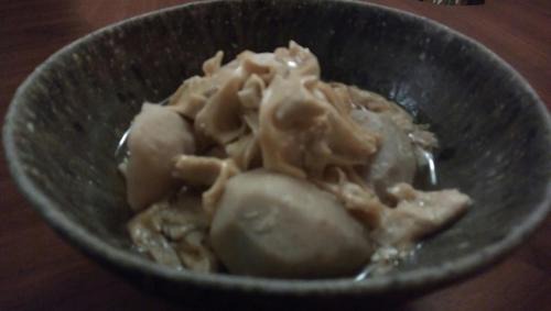 Hokuto Cabina | Twin Dome Ryugu