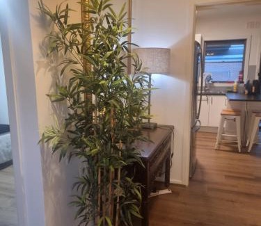 Clayton South Casa | Two separate rooms in Clayton South