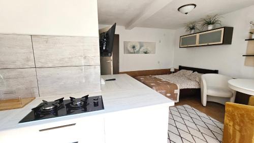 Ustronie Morskie Apartamento | U Honoraty