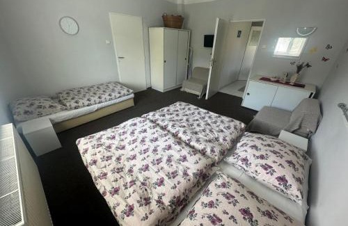 Rejstejn Casa | Ubytování Maxa Rejštejn