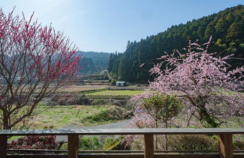 Ukiha Casa | Ukiha Kojio no Akari