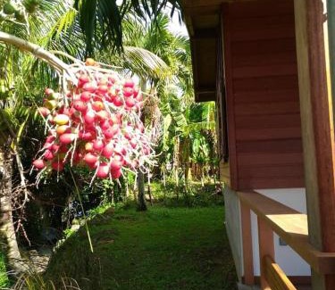 Saint-Charles Casa | Un cosy sous le vent