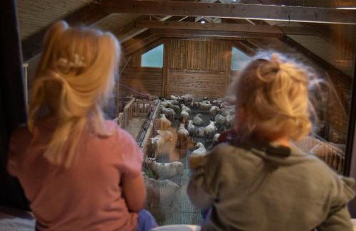 Levanger Apartamento | Unik fjøsleilighet