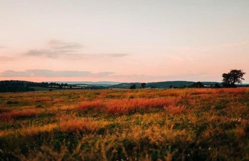 Cambra Casa | Unique Stay! Ricketts Chic Farmhouse Retreat with Stargazing Bubble Tent