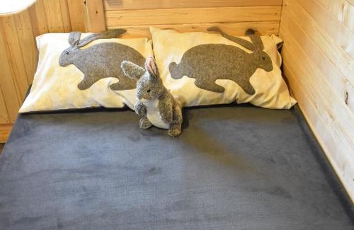 Usma Alquiler De Eote | Usmas zaķīšu pirtiņa - Bunny house