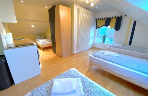 Oberteisbach Apartamento | V Apartment 4 Personen - Monteurzimmer - Ferienwohnung - Kronwieden