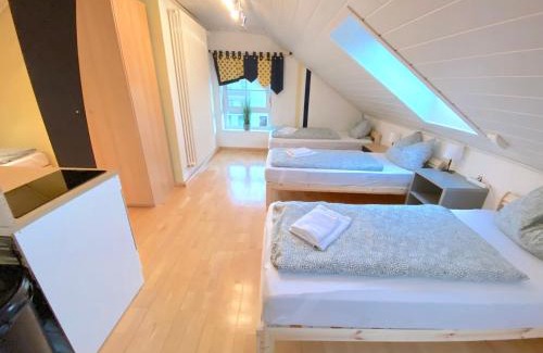 Oberteisbach Apartamento | V Apartment 4 Personen - Monteurzimmer - Ferienwohnung - Kronwieden