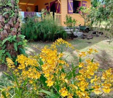 Malendure Casa | Vacances Bien Etre Guadeloupe