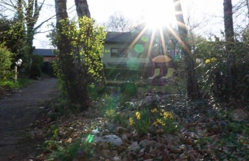 Ferienpark Himmelberg Apartamento | Vacation apartment/apartment for 4 guests with 65m² in Thalfang (296499)