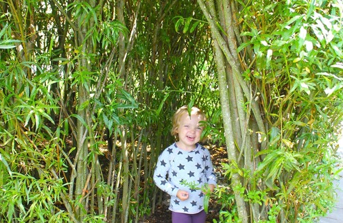 Kabelhorst Apartamento | Vacation apartment/apartment for 5 guests with 65m² in Schwienkuhl (153765)