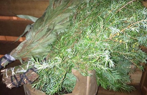 Gostilitsy Casa | Vacation home Banka u Ivana