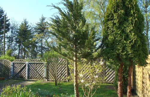 Rothenkirchen Casa | Vacation with dog, vacation home, 150m to the natural beach, fence + winter garden