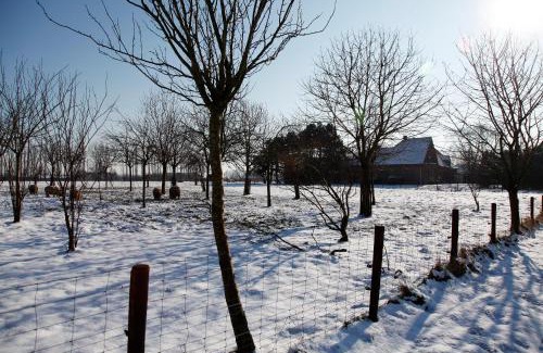 Loenhout Apartamento | Vakantie Appartement De Sneppelhoeve