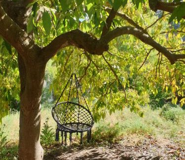 Coin Cama Y Desayuno | Vegan Guesthouse Finca Pereila