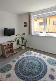 Cervena Tremesna Apartamento | Vejminek 87