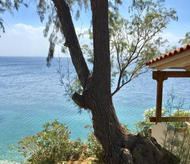 Nea Styra Hotel | Venus Beach Hotel