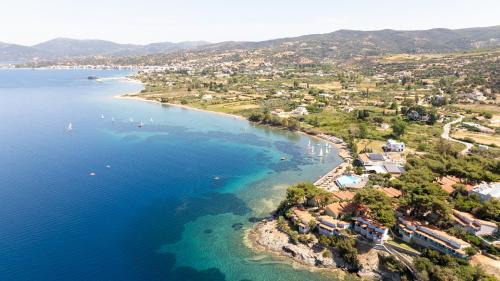 Nea Styra Hotel | Venus Beach Hotel