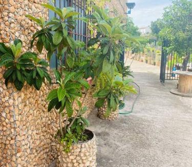 Hornachuelos Casa | VFT Las Piedrecitas (ENTERO)