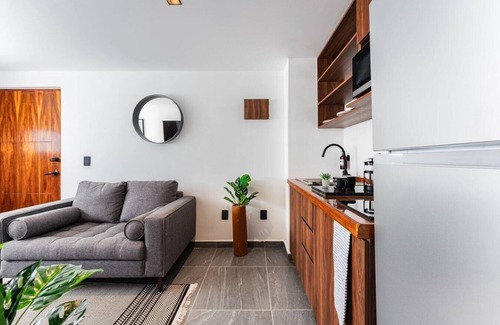 Santa María la Ribera Apartamento | VH | Cálido depa Sta Ma la Ribera 1 BR + gym | 132