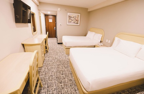 Zona Centro Hotel | Victoria Inn Hotel Express