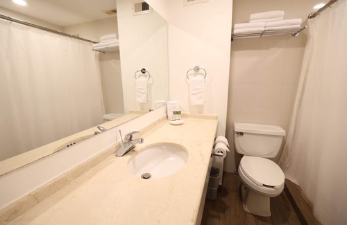 Zona Centro Hotel | Victoria Inn Hotel Express