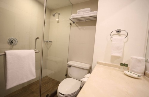 Zona Centro Hotel | Victoria Inn Hotel Express